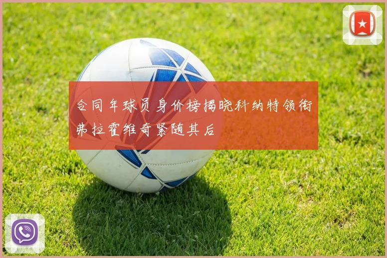 合同年球员身价榜揭晓科纳特领衔弗拉霍维奇紧随其后