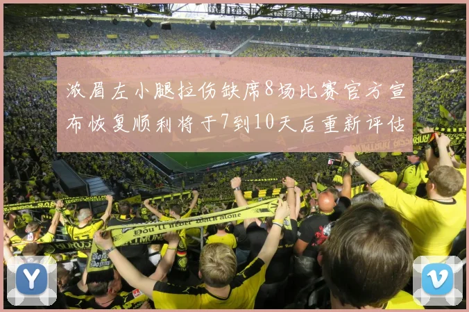 浓眉左小腿拉伤缺席8场比赛官方宣布恢复顺利将于7到10天后重新评估