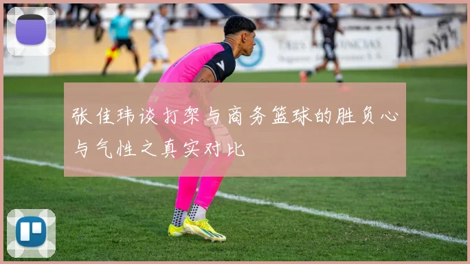 张佳玮谈打架与商务篮球的胜负心与气性之真实对比